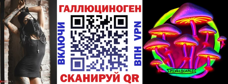 Галлюциногенные грибы Psilocybine cubensis  купить   это как зайти  Дигора 